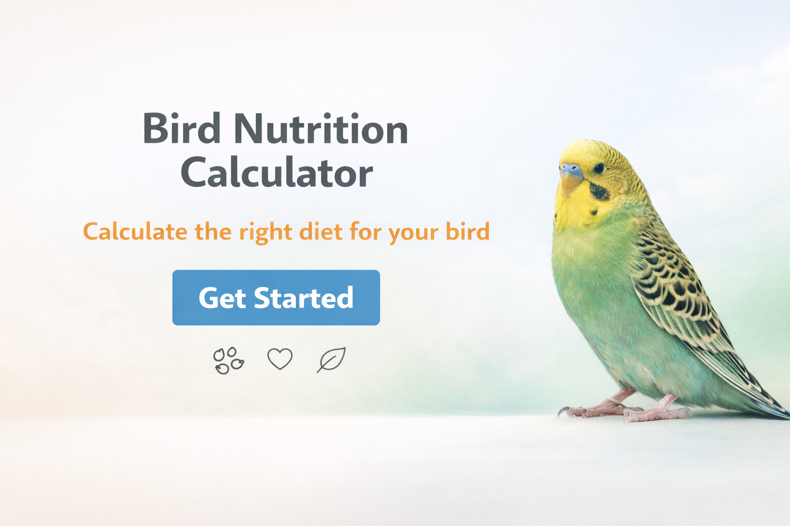 Bird Nutrition Calculator | Bird Calorie Calculator - Free Tool