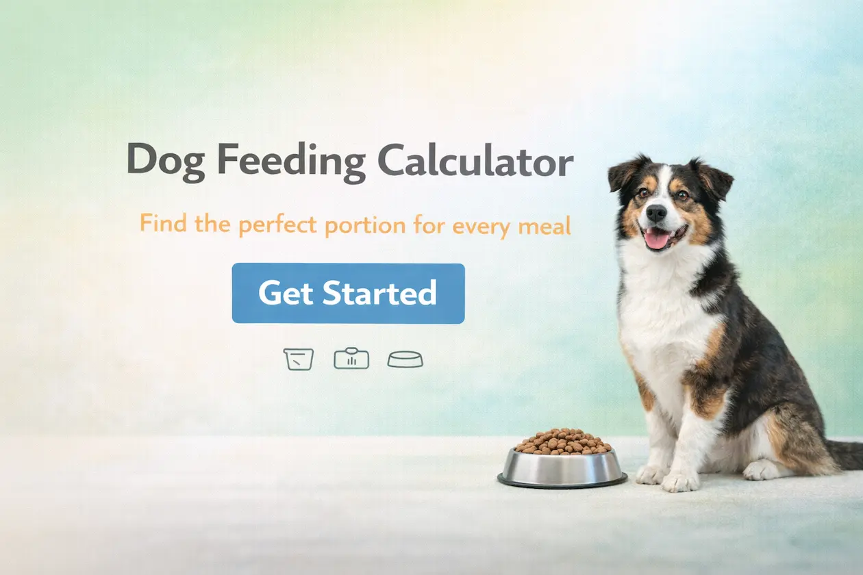 Dog nutrition calculator hero image