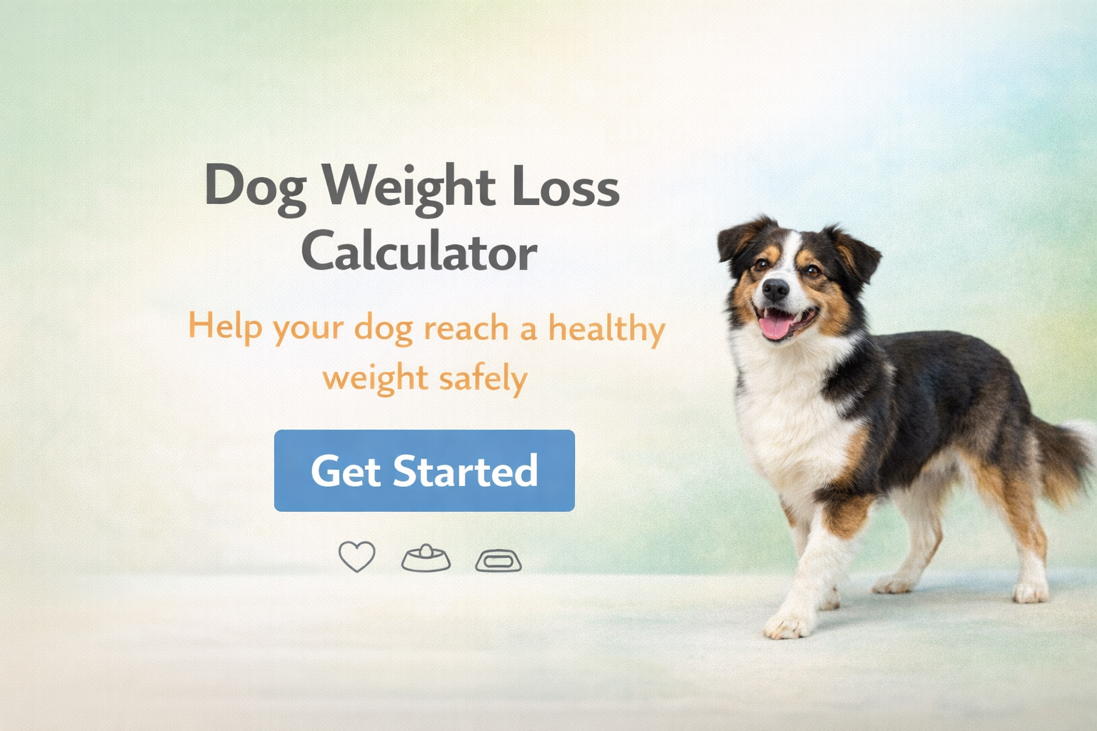 Dog Weight Loss Calculator | Free Calorie Calculator for Weight Loss