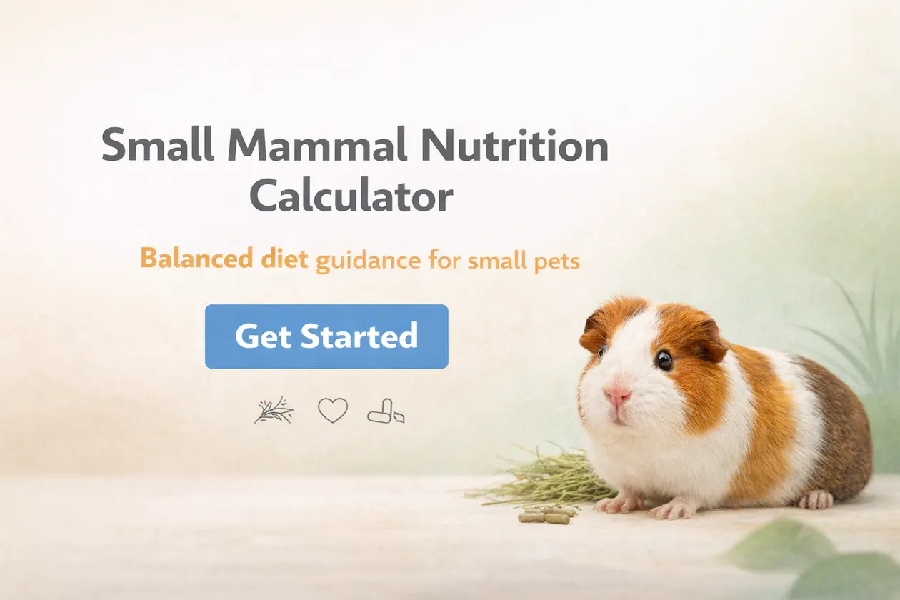 Small mammal nutrition calculator hero image